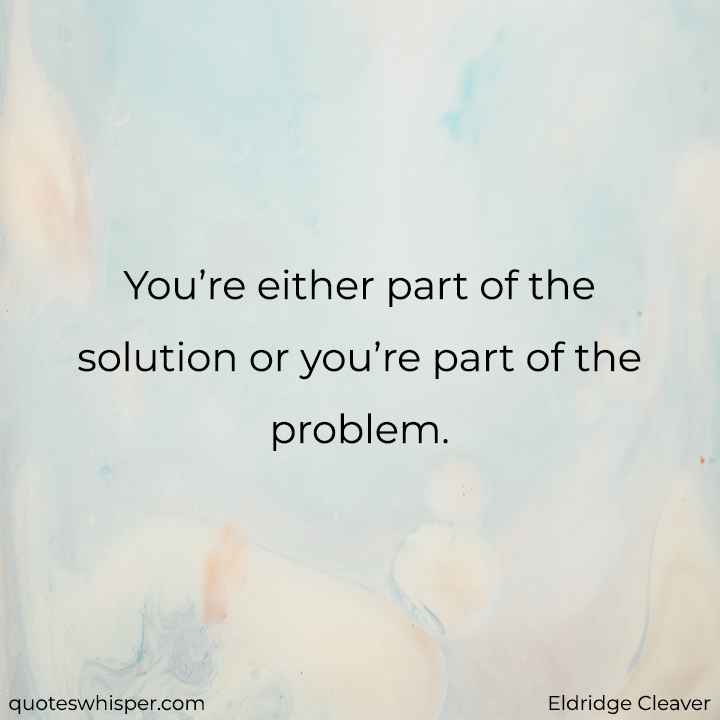  You’re either part of the solution or you’re part of the problem. - Eldridge Cleaver