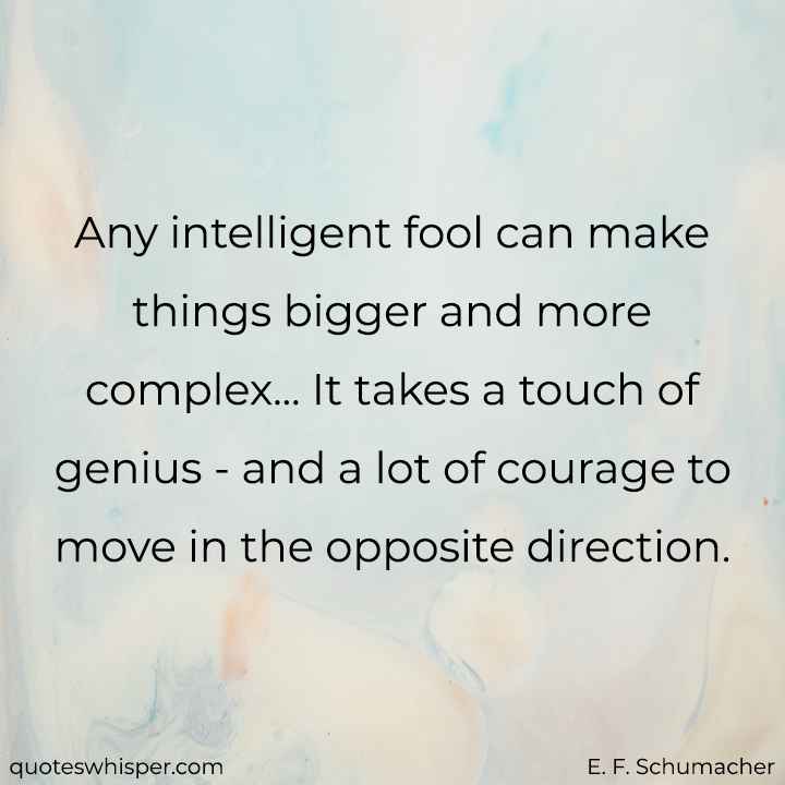  Any intelligent fool can make things bigger and more complex... It takes a touch of genius - and a lot of courage to move in the opposite direction. - E. F. Schumacher