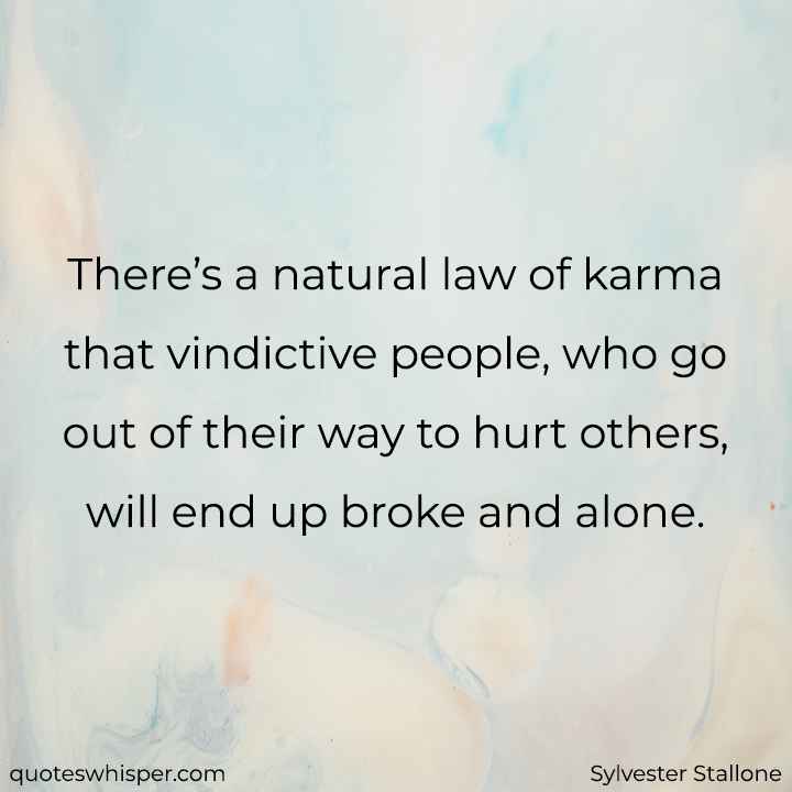  There’s a natural law of karma that vindictive people, who go out of their way to hurt others, will end up broke and alone. - Sylvester Stallone