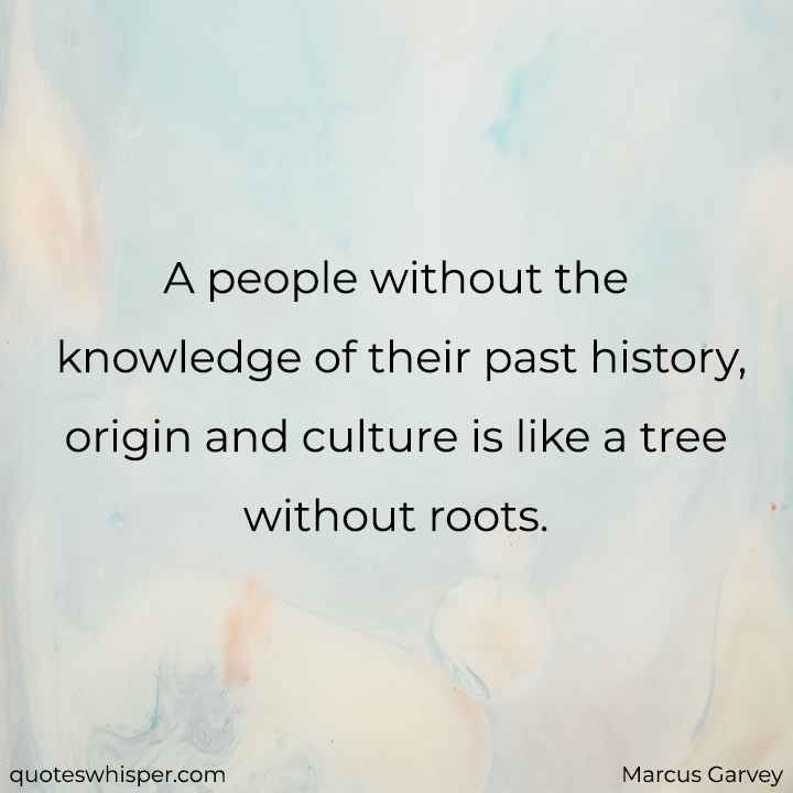  A people without the knowledge of their past history, origin and culture is like a tree without roots. - Marcus Garvey