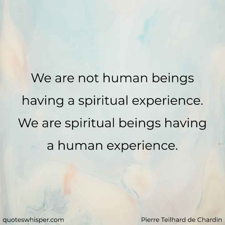  We are not human beings having a spiritual experience. We are spiritual beings having a human experience. - Pierre Teilhard de Chardin
