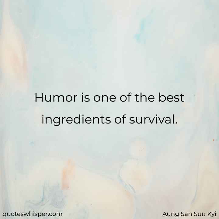  Humor is one of the best ingredients of survival. - Aung San Suu Kyi