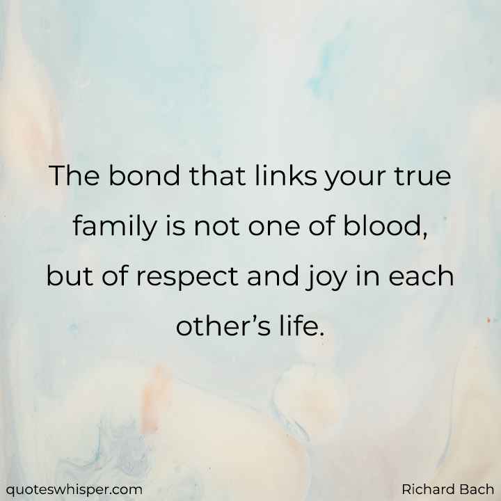  The bond that links your true family is not one of blood, but of respect and joy in each other’s life. - Richard Bach