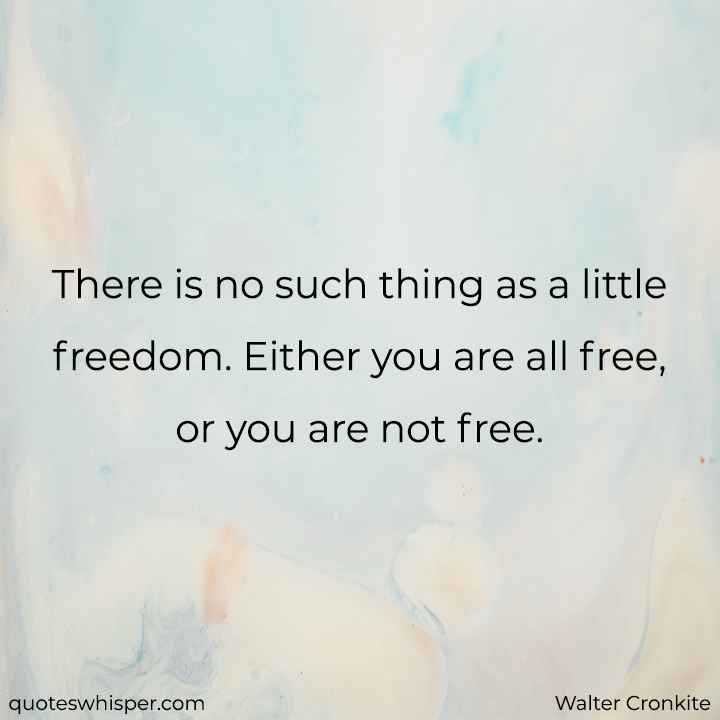  There is no such thing as a little freedom. Either you are all free, or you are not free. - Walter Cronkite