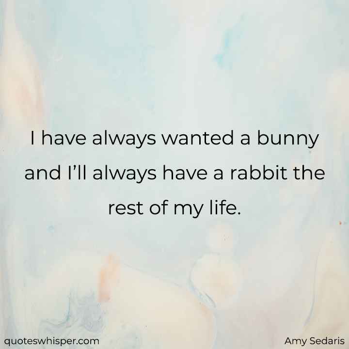  I have always wanted a bunny and I’ll always have a rabbit the rest of my life. - Amy Sedaris