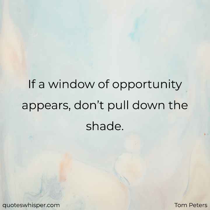  If a window of opportunity appears, don’t pull down the shade. - Tom Peters