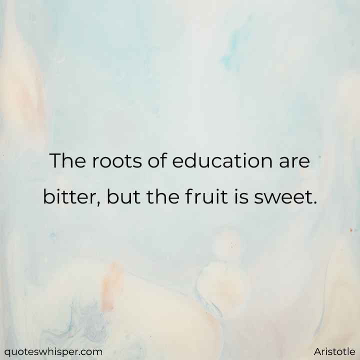  The roots of education are bitter, but the fruit is sweet. - Aristotle