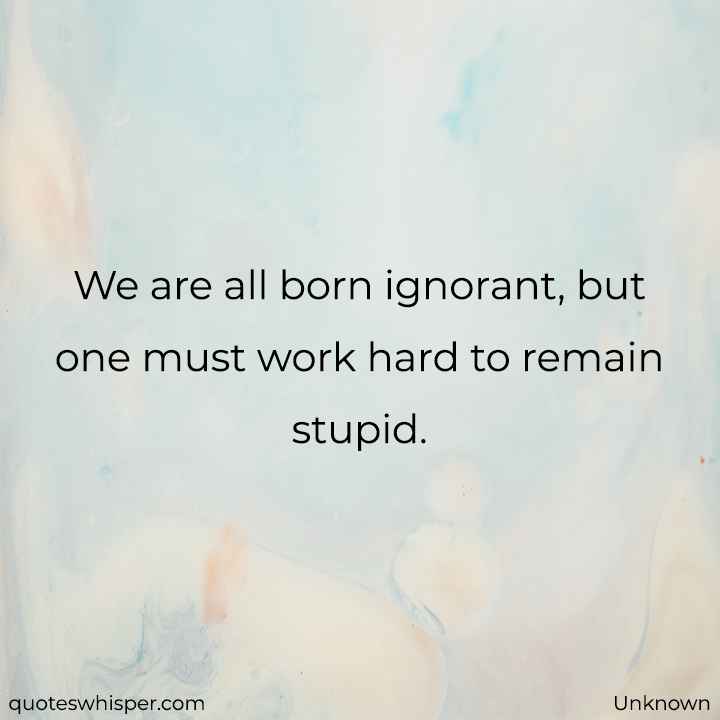  We are all born ignorant, but one must work hard to remain stupid. - Unknown