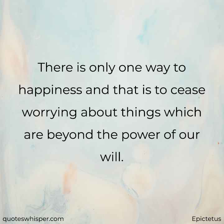  There is only one way to happiness and that is to cease worrying about things which are beyond the power of our will. - Epictetus