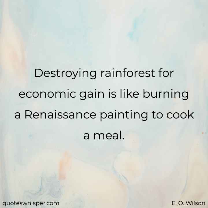  Destroying rainforest for economic gain is like burning a Renaissance painting to cook a meal. - E. O. Wilson
