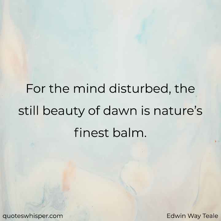  For the mind disturbed, the still beauty of dawn is nature’s finest balm. - Edwin Way Teale
