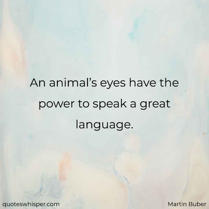 An animal’s eyes have the power to speak a great language. - Martin Buber