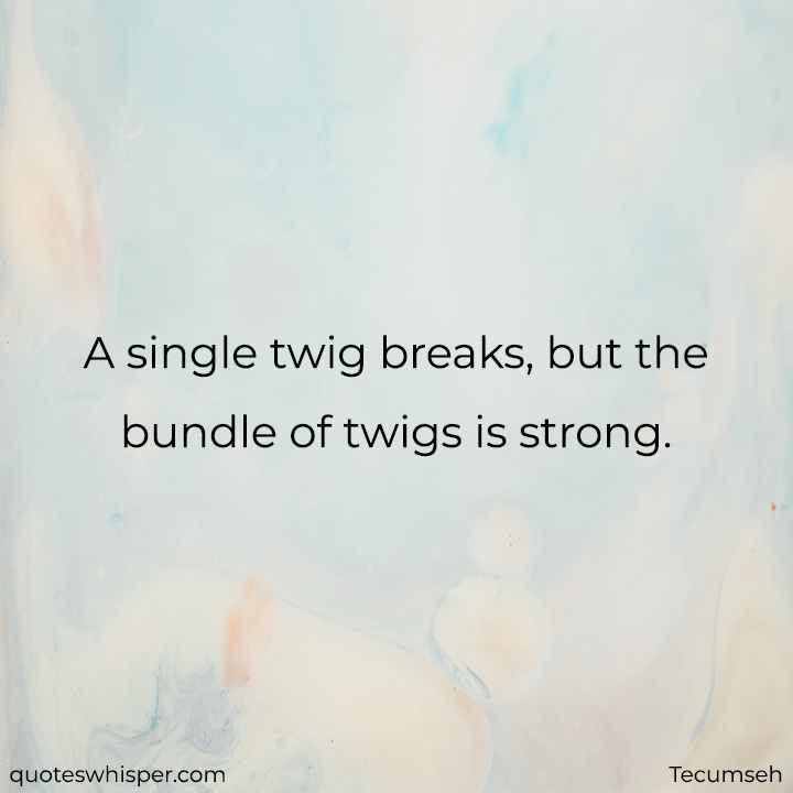  A single twig breaks, but the bundle of twigs is strong. - Tecumseh