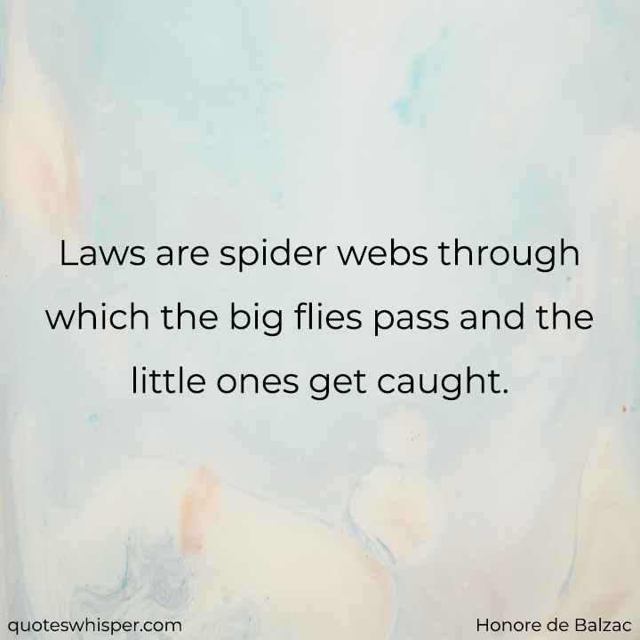  Laws are spider webs through which the big flies pass and the little ones get caught. - Honore de Balzac