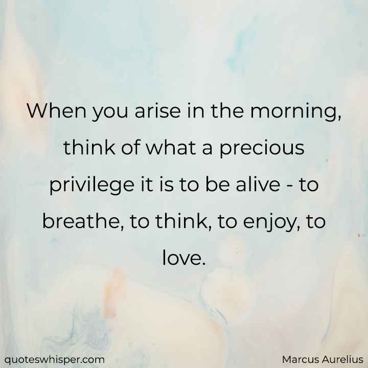  When you arise in the morning, think of what a precious privilege it is to be alive - to breathe, to think, to enjoy, to love. - Marcus Aurelius