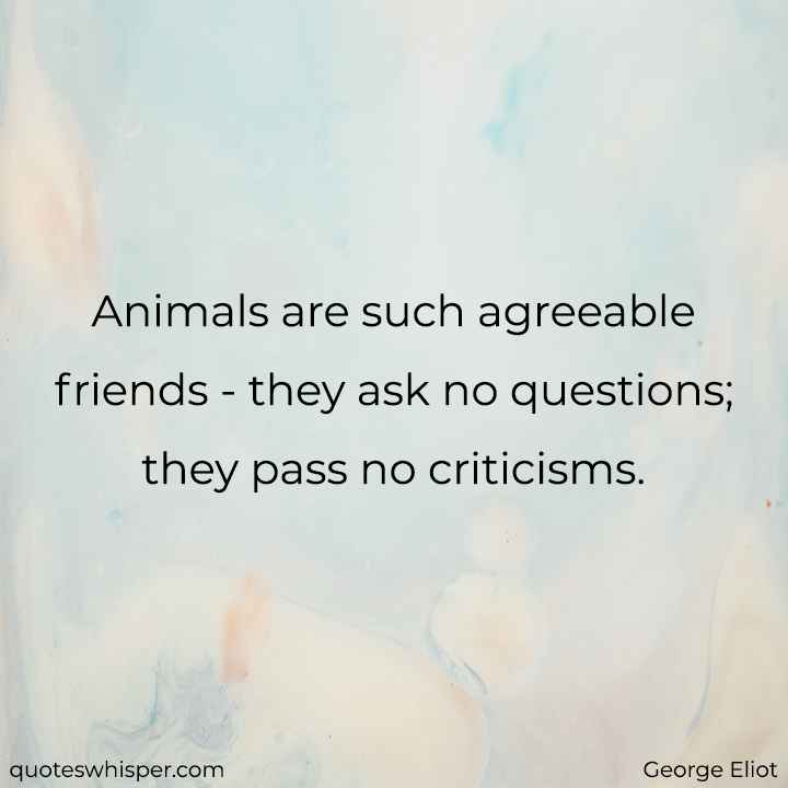  Animals are such agreeable friends - they ask no questions; they pass no criticisms. - George Eliot