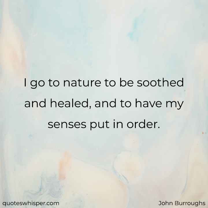  I go to nature to be soothed and healed, and to have my senses put in order. - John Burroughs
