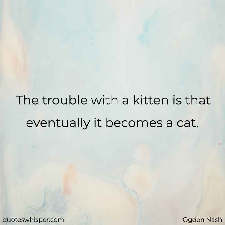  The trouble with a kitten is that eventually it becomes a cat. - Ogden Nash