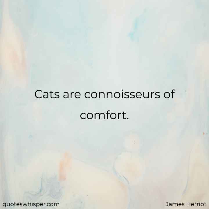  Cats are connoisseurs of comfort. - James Herriot