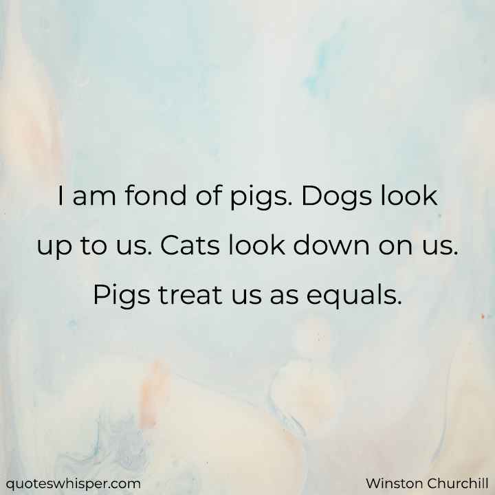  I am fond of pigs. Dogs look up to us. Cats look down on us. Pigs treat us as equals. - Winston Churchill