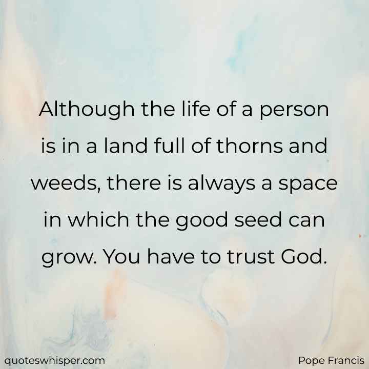  Although the life of a person is in a land full of thorns and weeds, there is always a space in which the good seed can grow. You have to trust God. - Pope Francis