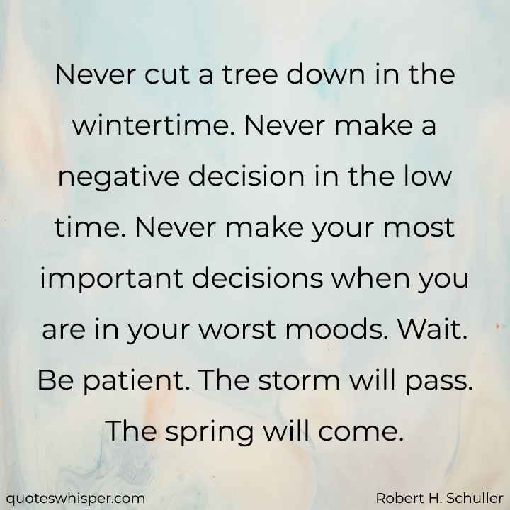  Never cut a tree down in the wintertime. Never make a negative decision in the low time. Never make your most important decisions when you are in your worst moods. Wait. Be patient. The storm will pass. The spring will come. - Robert H. Schuller