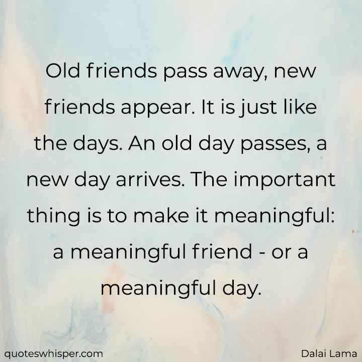  Old friends pass away, new friends appear. It is just like the days. An old day passes, a new day arrives. The important thing is to make it meaningful: a meaningful friend - or a meaningful day. - Dalai Lama