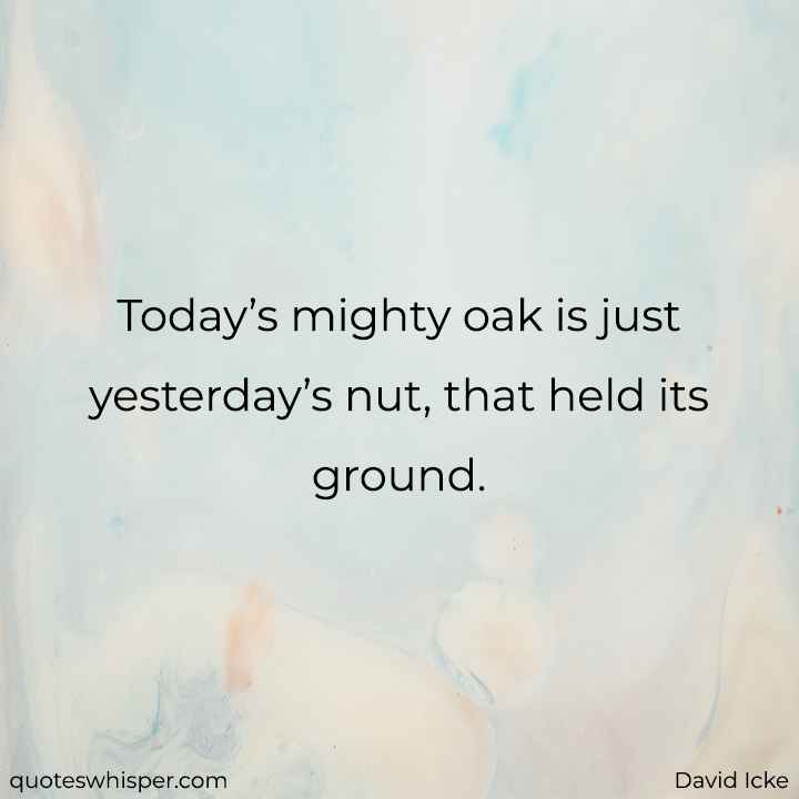  Today’s mighty oak is just yesterday’s nut, that held its ground. - David Icke