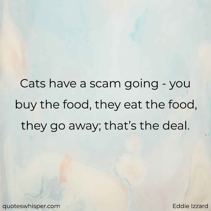  Cats have a scam going - you buy the food, they eat the food, they go away; that’s the deal. - Eddie Izzard