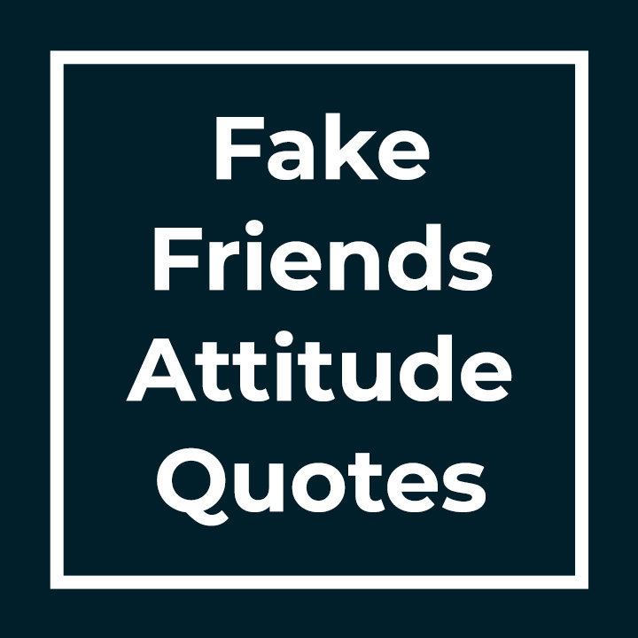 Attitude Quotes For Fake Friends