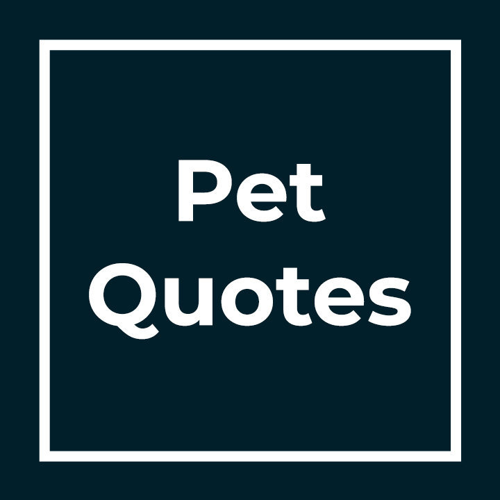 Pet Quotes