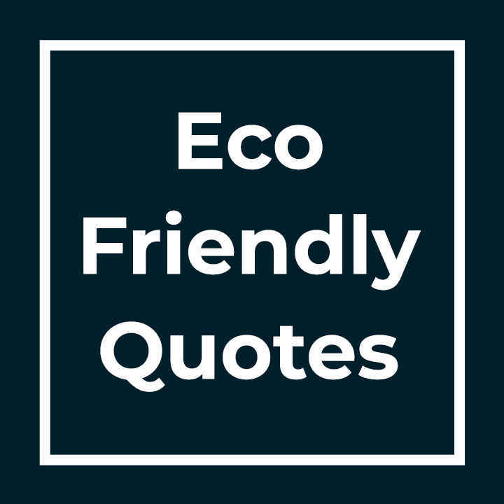 Eco Friendly Quotes