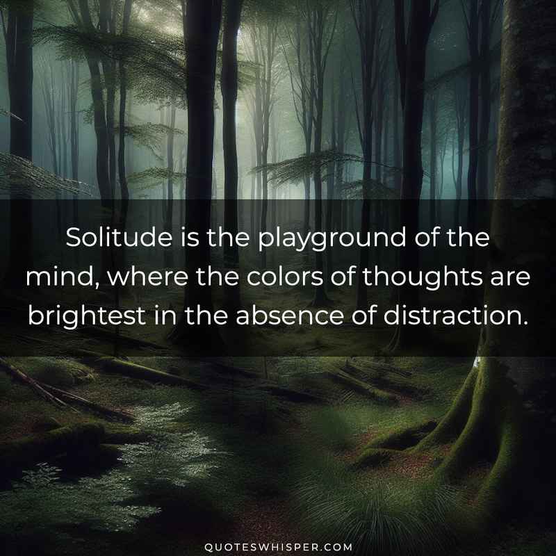 Solitude is the playground of the mind, where the colors of thoughts are brightest in the absence of distraction.