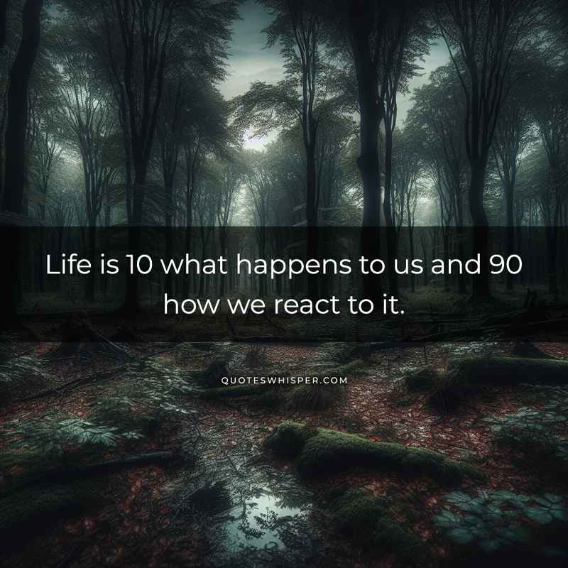Life is 10 what happens to us and 90 how we react to it.