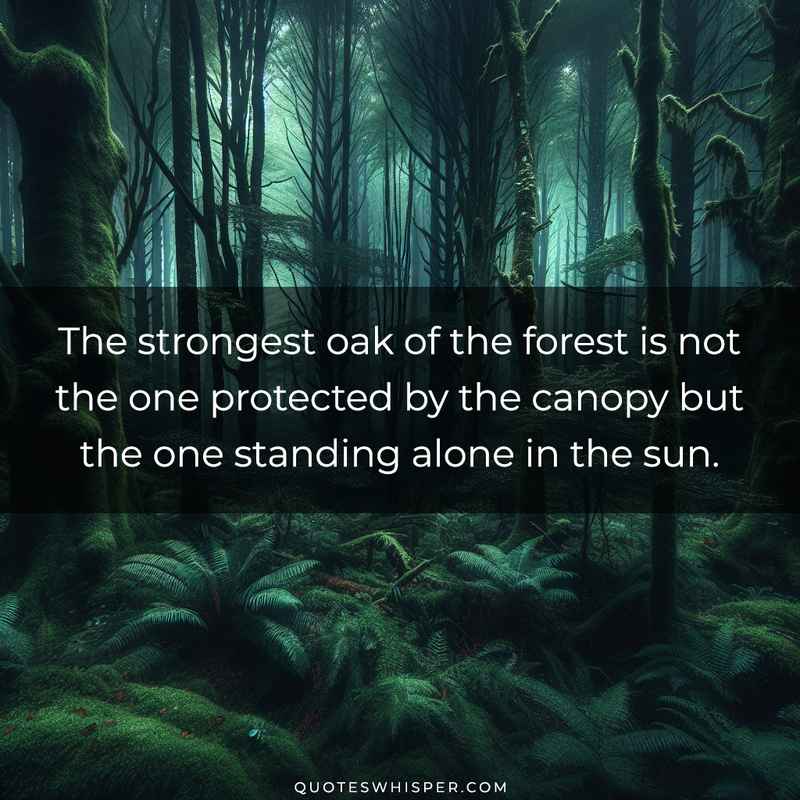 The strongest oak of the forest is not the one protected by the canopy but the one standing alone in the sun.