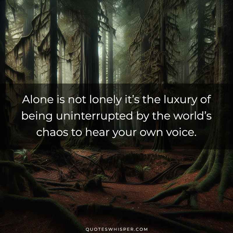 Alone is not lonely it’s the luxury of being uninterrupted by the world’s chaos to hear your own voice.