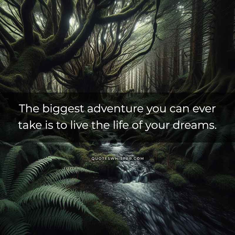 The biggest adventure you can ever take is to live the life of your dreams.