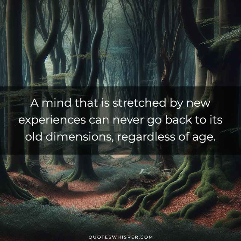 A mind that is stretched by new experiences can never go back to its old dimensions, regardless of age.