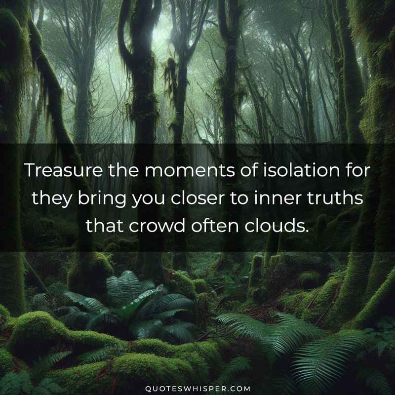 Treasure the moments of isolation for they bring you closer to inner truths that crowd often clouds.
