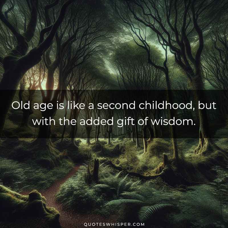 Old age is like a second childhood, but with the added gift of wisdom.