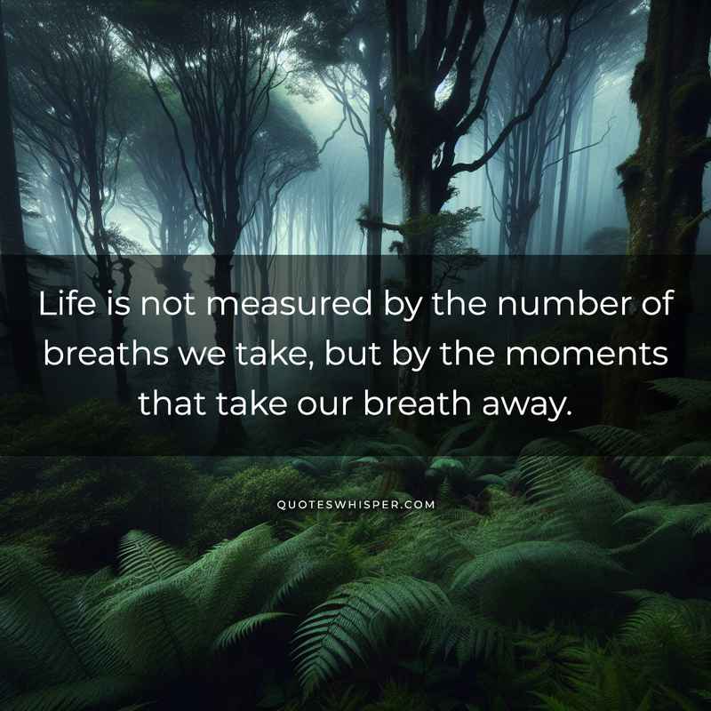 Life is not measured by the number of breaths we take, but by the moments that take our breath away.