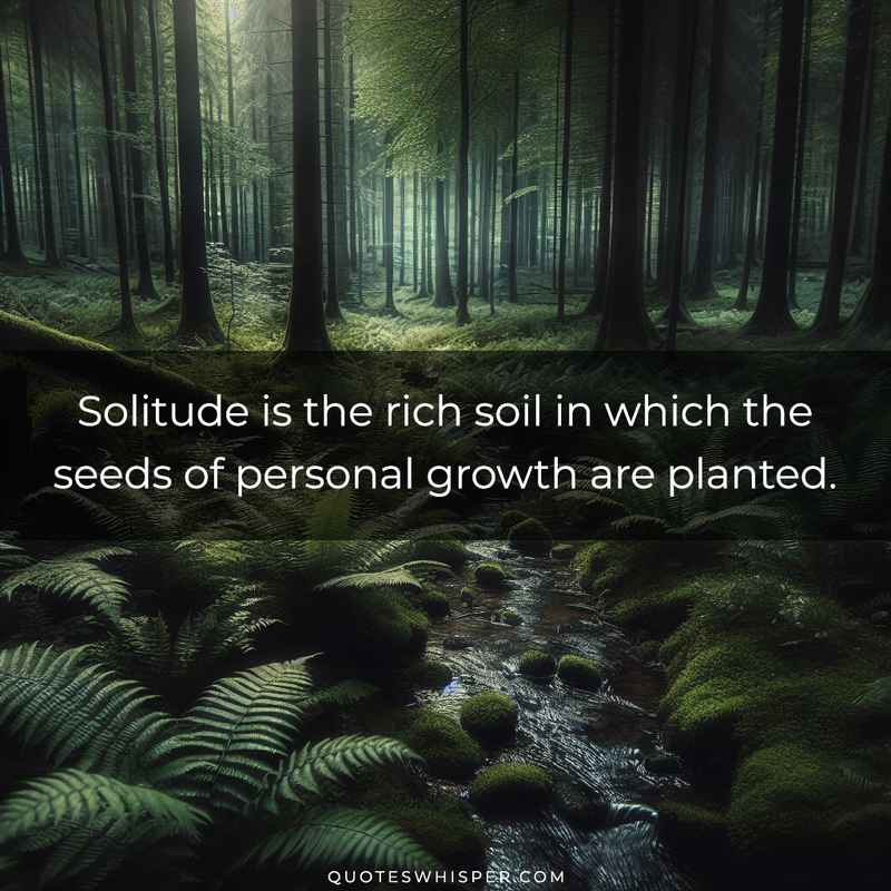 Solitude is the rich soil in which the seeds of personal growth are planted.