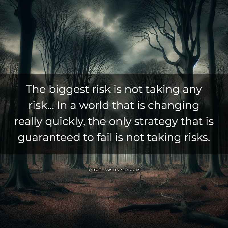 The biggest risk is not taking any risk... In a world that is changing really quickly, the only strategy that is guaranteed to fail is not taking risks.