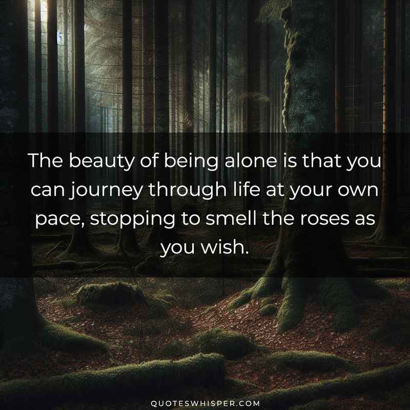 The beauty of being alone is that you can journey through life at your own pace, stopping to smell the roses as you wish.