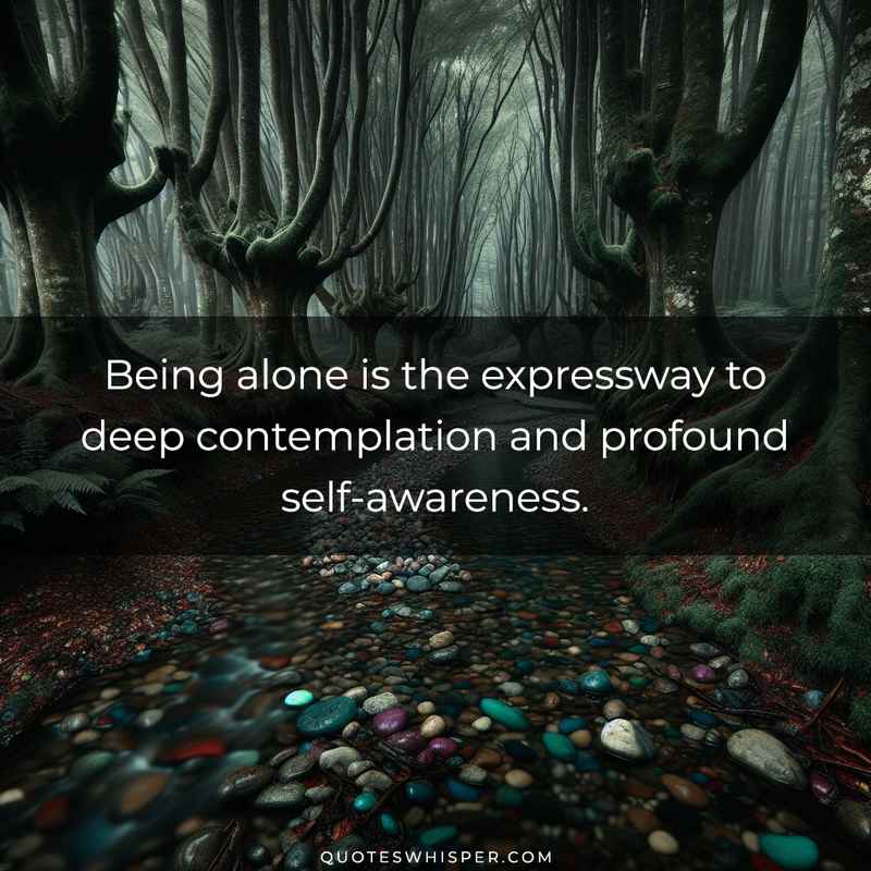 Being alone is the expressway to deep contemplation and profound self-awareness.