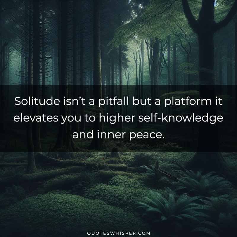 Solitude isn’t a pitfall but a platform it elevates you to higher self-knowledge and inner peace.