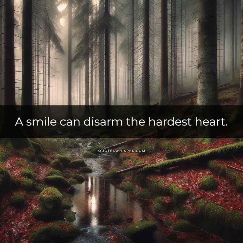 A smile can disarm the hardest heart.