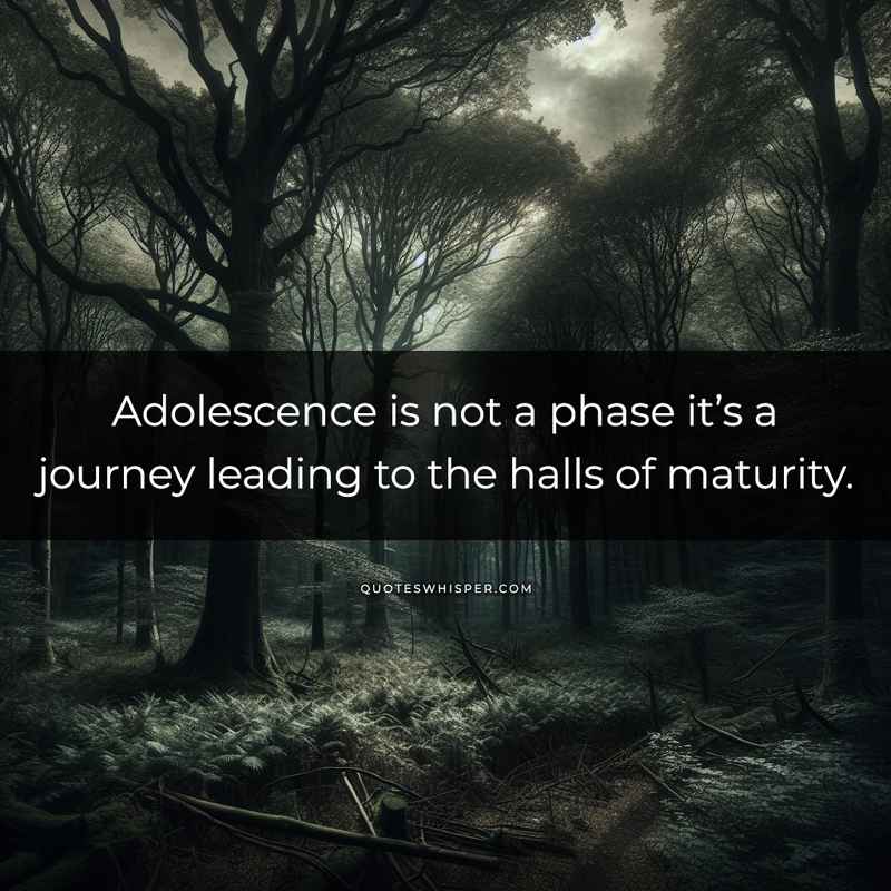 Adolescence is not a phase it’s a journey leading to the halls of maturity.