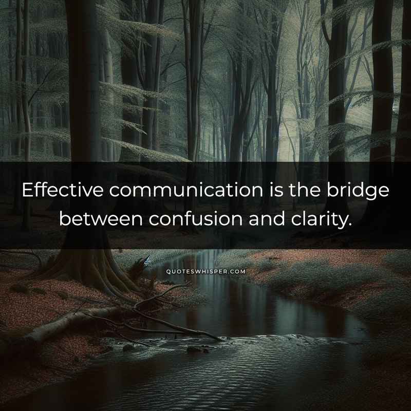 Effective communication is the bridge between confusion and clarity.