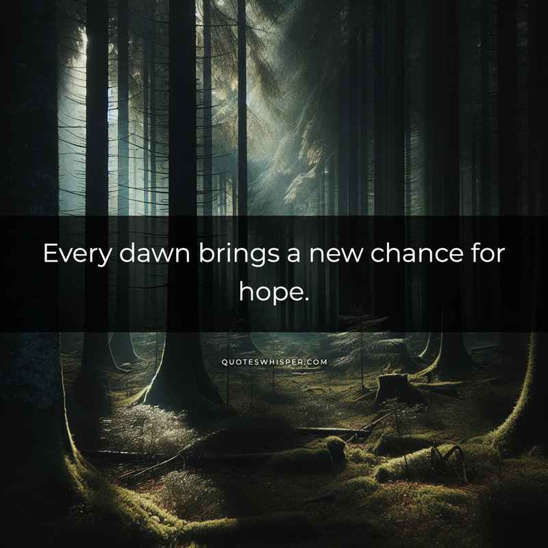Every dawn brings a new chance for hope.